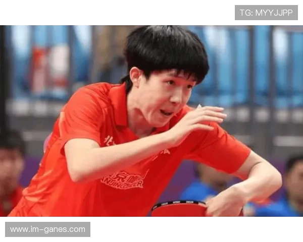 抵韩风波不断:王楚钦退赛王艺迪购物高远人气攀升向鹏社恐引热议